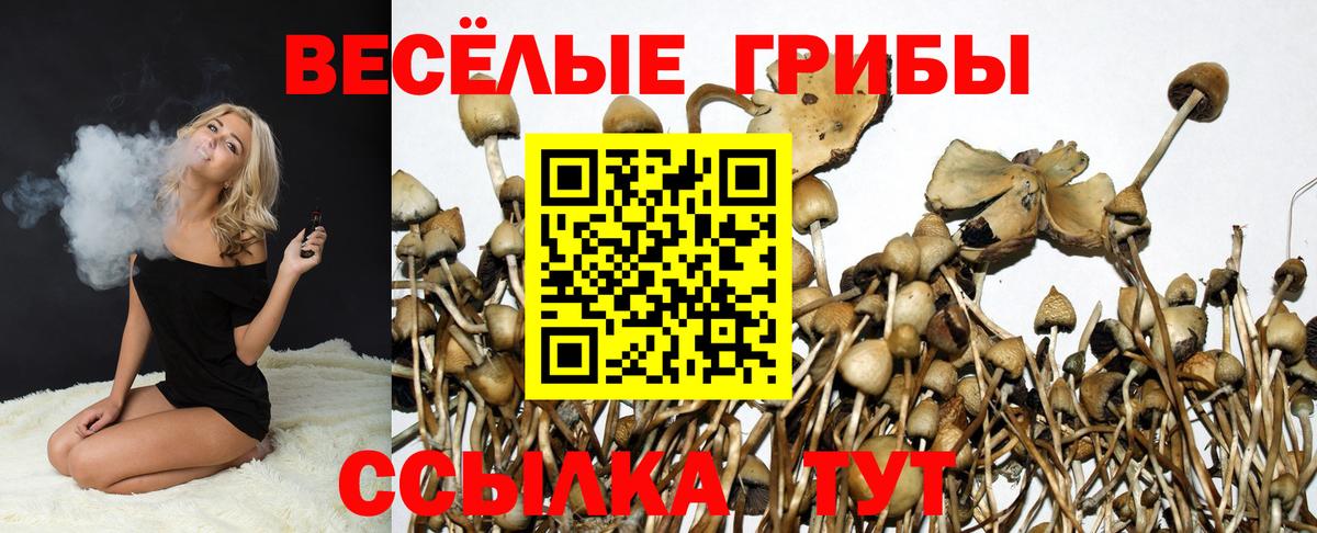 Усолье-Сибирское  Галлюциногенные грибы прущие грибы  Вход с VPN  Галлюциногенные грибы ЛСД 