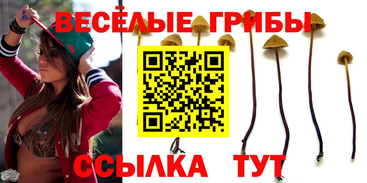 Псилоцибиновые грибы мицелий Усолье-Сибирское